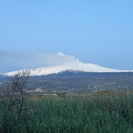 מסקלי Villa Con Piscina Esclusiva Vista Etna מראה חיצוני תמונה