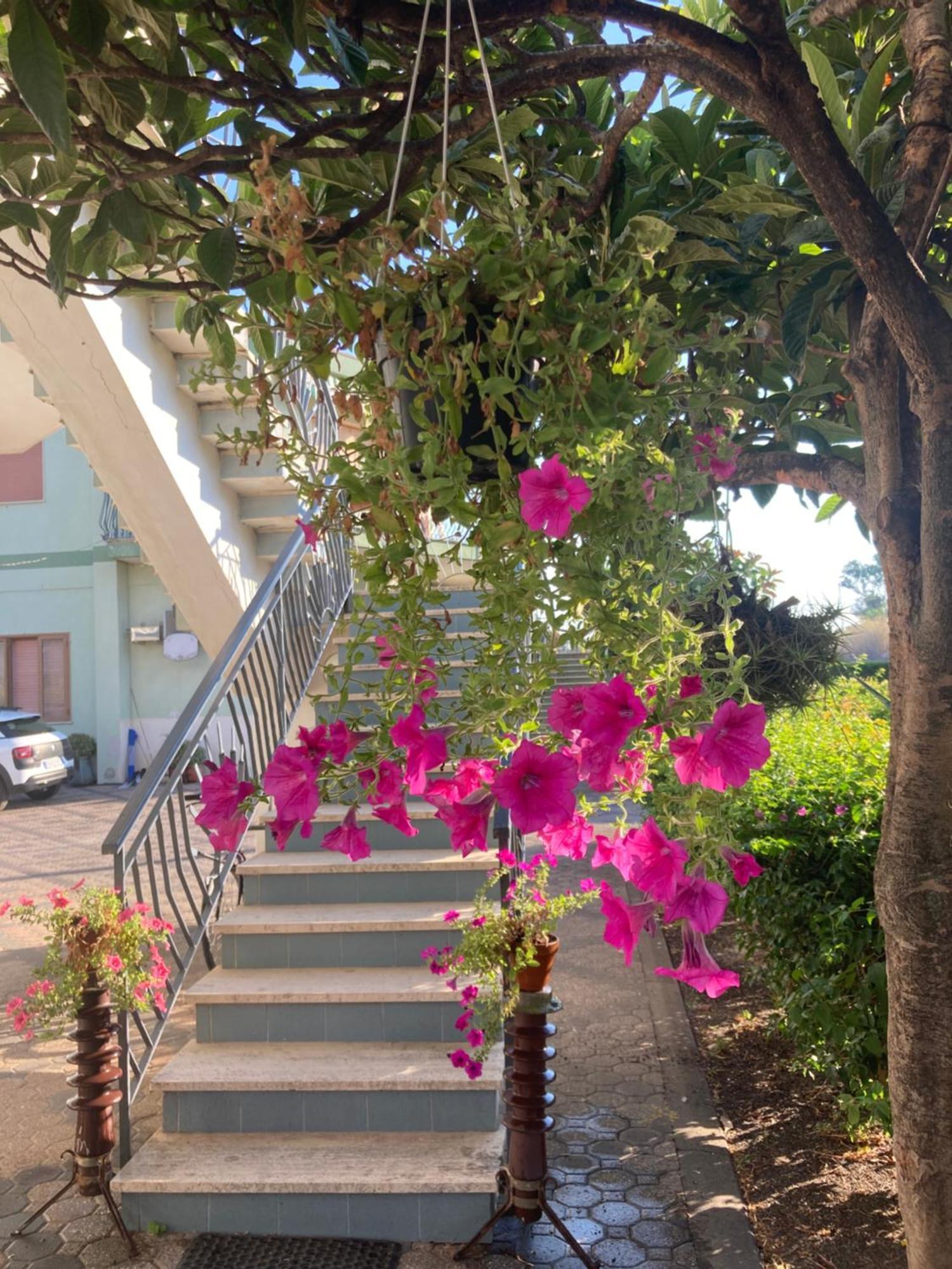 מסקלי Villa Con Piscina Esclusiva Vista Etna מראה חיצוני תמונה