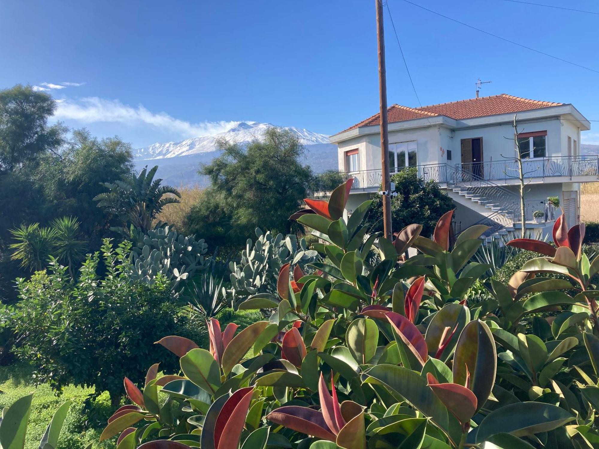 מסקלי Villa Con Piscina Esclusiva Vista Etna מראה חיצוני תמונה