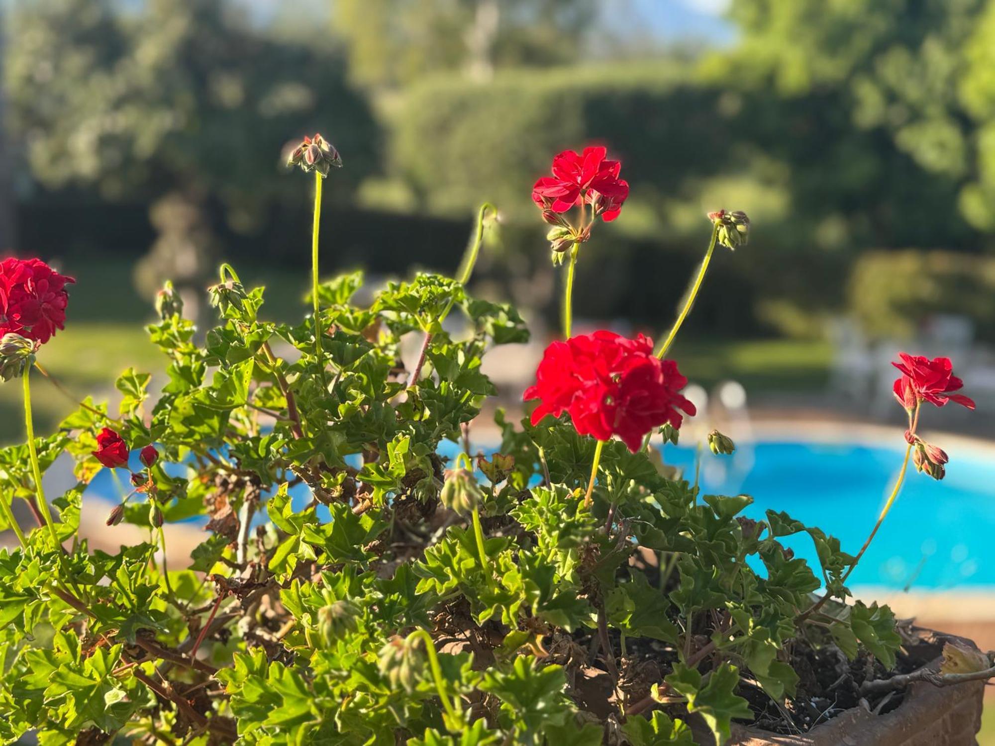 מסקלי Villa Con Piscina Esclusiva Vista Etna מראה חיצוני תמונה