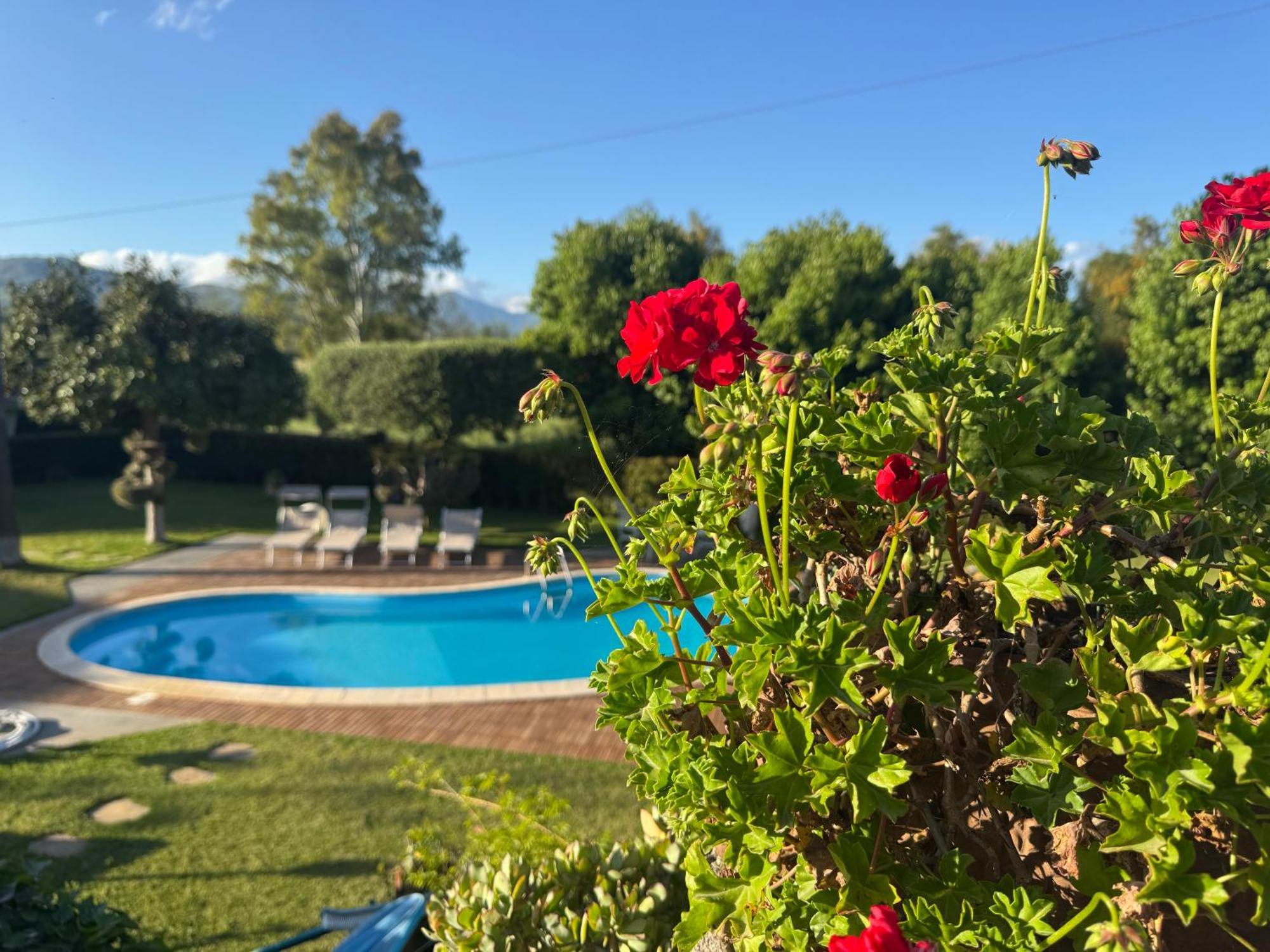 מסקלי Villa Con Piscina Esclusiva Vista Etna מראה חיצוני תמונה