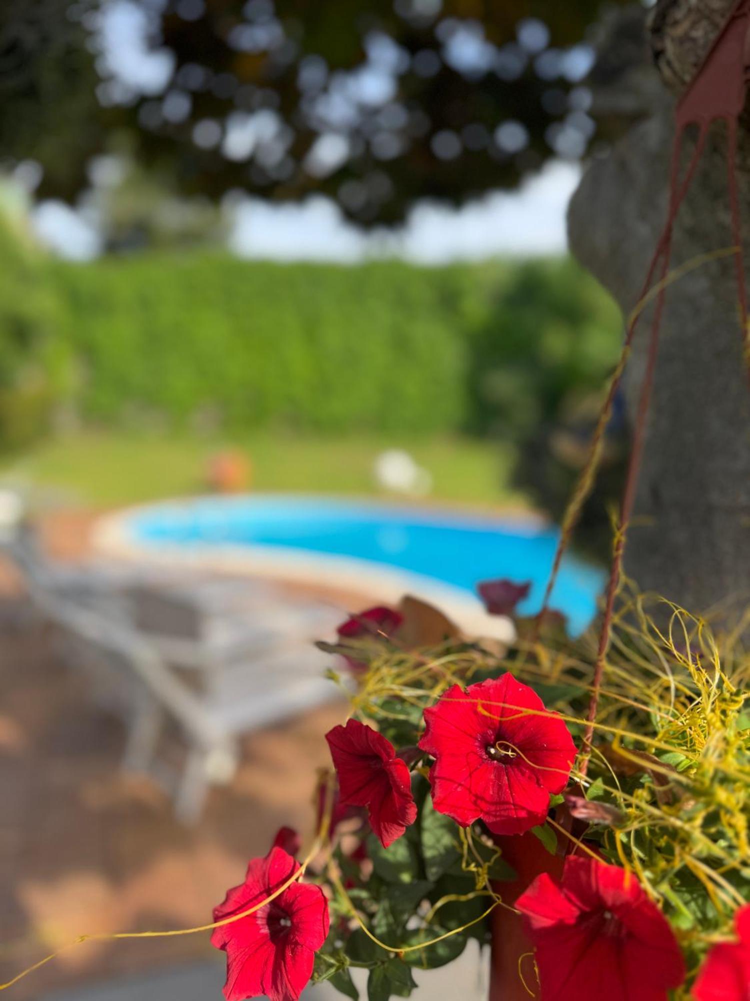 מסקלי Villa Con Piscina Esclusiva Vista Etna מראה חיצוני תמונה